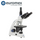 Microscopio trinocular BioBlue SMP 4/10/S40/S100x objetivos de aceite con platina mecánica e iluminación inalámbrica NeoLED™ de 1 W - Euromex